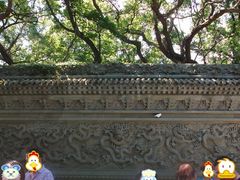 -普陀山风景名胜区-法雨禅寺