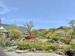 -春色如许·茶食餐厅(桃李春风店)