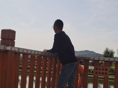 -羊亭河湿地公园