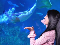 -威海华夏城景区