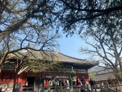 -红螺寺