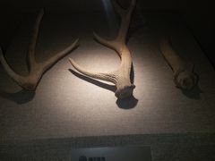 -南越王博物院(王宫展区)