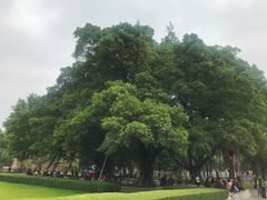 -广州中山纪念堂