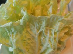 大白菜-海底捞火锅(海悦天地店)