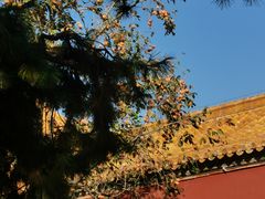-故宫博物院(故宫)