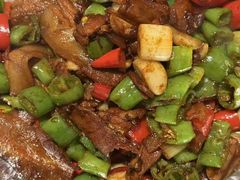 -鸽子侯·家宴·平价海鲜(市图书馆店)