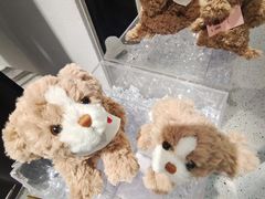 -赛格国际购物中心(小寨店)