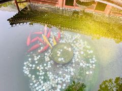 -北京上方山国家森林公园