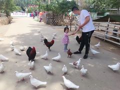 -1982农场