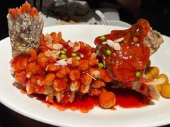 -吴越荣记苏州菜·松鼠桂鱼100%活鱼现做(月光码头店)