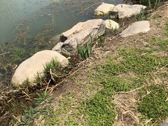 -风云面馆(珠海路店)