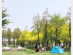 -洨河生态公园