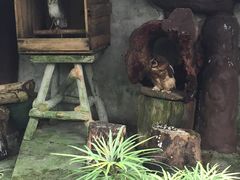 -吉隆坡雀鸟公园
