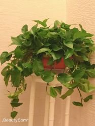 -锦尚名仕Hair Salon