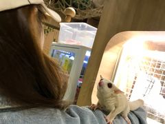 -藦茜花园宠物主题亲子互动体验馆(国顺东路店)