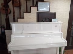 -迷音音乐国际艺术中心(三林店)