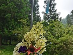 -武陵山森林公园