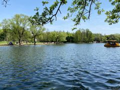 -上海共青森林公园