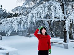 -沂蒙山旅游区云蒙景区(蒙山国家森林公园)