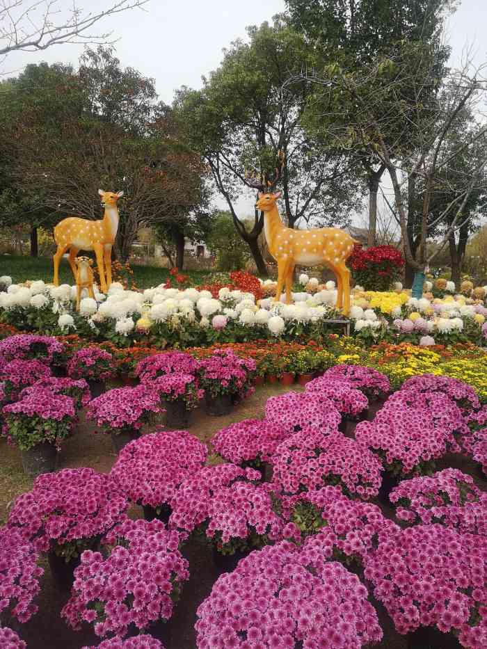 宁波植物园镇海区永茂西路1314号