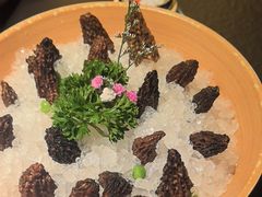 -季季山·云南野生菌火锅(上海首店)