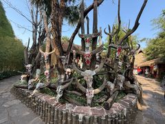 -云南民族村