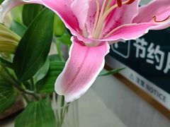 -山壹竹庭院餐厅