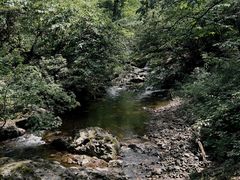 -龙苍沟森林公园