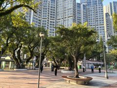 -石排湾郊野公园