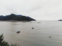 -北岐滩涂