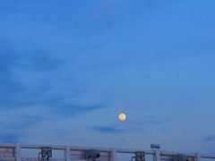 -演武大桥观景平台