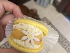 半熟花花马卡龙桂花半熟芝士味-好利来(朝外店)