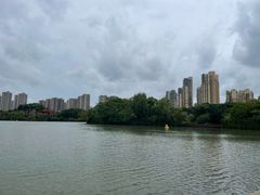 -青枫公园