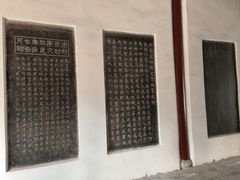 -柳侯公园