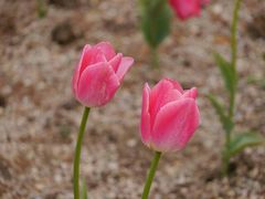 -漩门湾国家湿地公园