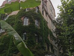 -中国电信(肇嘉浜路专营店)