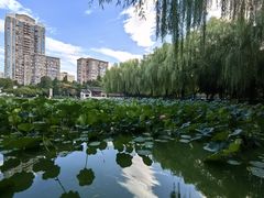 -团结湖公园