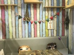 -小时光咖啡馆(开森度假森林店)