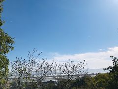 -伍山海滨石窟