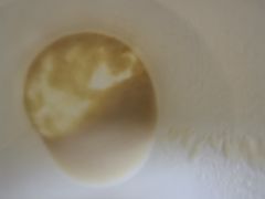 -全家便利店(襄阳南路店)