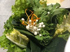 -掂档潮汕牛肉火锅(沈阳万象城店)