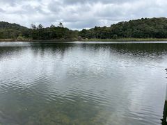 -海南热带雨林国家公园吊罗山景区