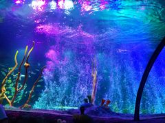 -沈阳海洋探索中心