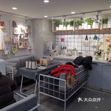 有一段时间没来了，推开门，感觉既熟悉又陌生，老板