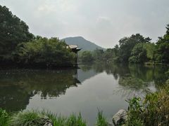 -西湖外事游船(花港观鱼码头)