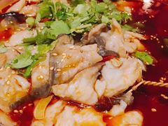 水煮活鱼-新阳光大酒店