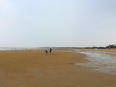 -日照海滨国家森林公园