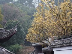 -宁波市保国寺古建筑博物馆