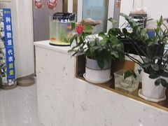 -启辰口腔(南坪店)