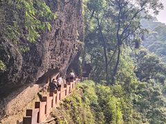 -青城山